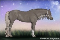 Horse Color:Silver Black and Silver Black