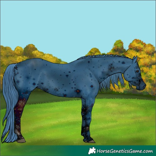 Horse Color:ERROR: UNKNOWN ANOMALY