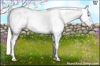 Horse Color:Cremello Varnish