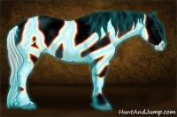 Horse Color:Thunderstruck Chocolate Palomino Tobiano Appaloosa Rabicano 