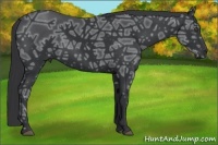 Horse Color:Black Ice 