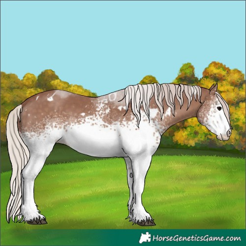 Horse Color:White Spotted Chocolate Silver Black 