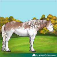 Horse Color:White Spotted Chocolate Silver Black