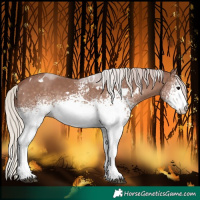 Horse Color:White Spotted Chocolate Silver Black