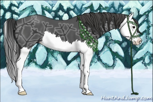 Horse Color:Smoky Black Ice Splash
