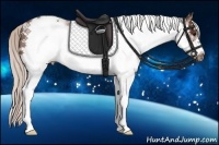 Horse Color:White Spotted Silver Brown Roan Frame Rabicano 