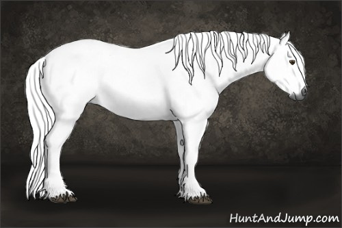 Horse Color:Gray Palomino