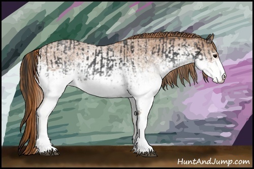 Horse Color:White Spotted Blue Roan Rabicano  and White Spotted Red Roan Rabicano 