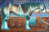 Horse Color:Thunderstruck Bay Onyx Sabino Splash 