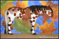 Horse Color:Silver Bay Tobiano and Gray White Spotted Bay Splash