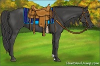 Horse Color:Smoky Black 