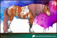 Horse Color:Painted Bay Roan Splash Tobiano  and Painted Bay Splash Tobiano 