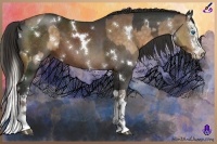 Horse Color:White Spotted Silver Buckskin Splash and White Spotted Liver Chestnut Splash