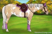 Horse Color:White Spotted Silver Amber Champagne Rabicano