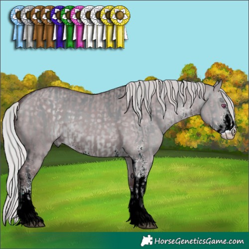 Horse Color:White Spotted Silver Brown Chinchilla Dun  and Chocolate Silver Grullo Chinchilla Sabino 