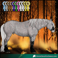 Horse Color:White Spotted Silver Brown Chinchilla Dun  and Chocolate Silver Grullo Chinchilla Sabino 