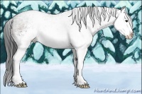 Horse Color:White Spotted Bay Ice Sabino Splash
