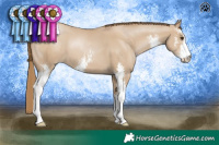 Horse Color:Grullo Pearl Sabino
