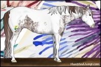 Horse Color:White Spotted Liver Chestnut Tobiano 