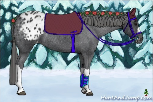 Horse Color:Black Appaloosa Rabicano 