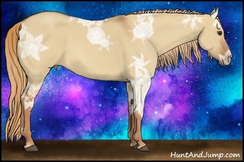 Horse Color:Red Dun Ice Roan