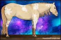 Horse Color:Red Dun Ice Roan