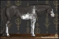 Horse Color:Liver Chestnut Sabino 