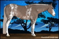 Horse Color:White Spotted Silver Black 