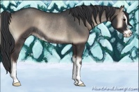 Horse Color:Blue Onyx Sabino Rabicano 