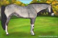 Horse Color:Blue Onyx Roan Sabino