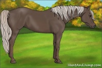 Horse Color:Silver Black 