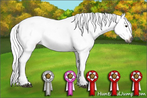 Horse Color:Gray Red Dun Blanket 