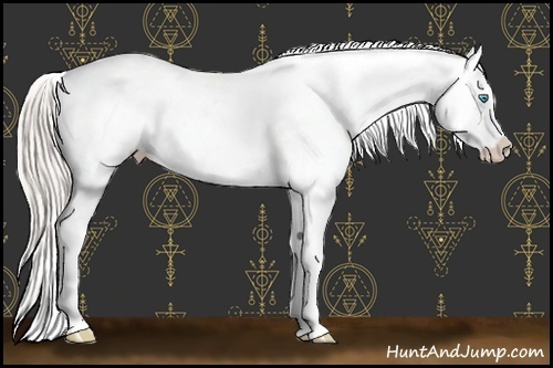 Horse Color:Chocolate Palomino Pearl Blanket Rabicano 