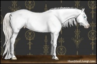 Horse Color:Chocolate Palomino Pearl Blanket Rabicano 