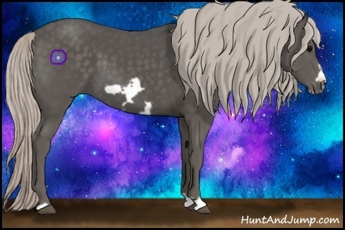 Horse Color:Silver Black Frame
