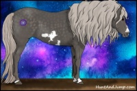 Horse Color:Silver Black Frame