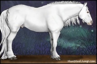 Horse Color:White Spotted Silver Black Chinchilla Varnish Rabicano