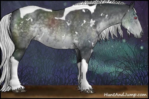 Horse Color:White Spotted Silver Black Chinchilla Tobiano