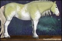 Horse Color:Watercolor White Spotted Silver Black