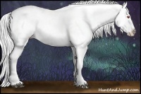Horse Color:Silver Black Chinchilla Ice Appaloosa Rabicano 