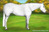 Horse Color:Gray Brown