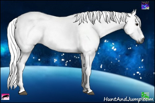 Horse Color:Gray Bay Ice 