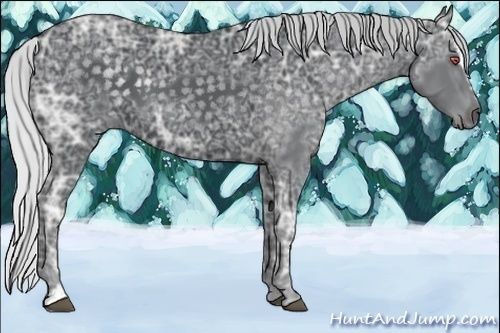 Horse Color:Silver Black Chinchilla Ice Sabino 