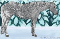 Horse Color:Silver Black Chinchilla Ice Sabino 