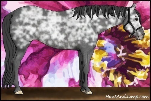 Horse Color:Smoky Black Ice Rabicano 