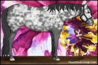Horse Color:Smoky Black Ice Rabicano