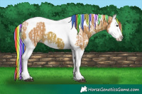 Horse Color:Painted Watercolor Silver Brown Splash Tobiano Appaloosa  and Painted Watercolor Bay Splash Tobiano 