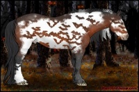 Horse Color:Bay Frame 