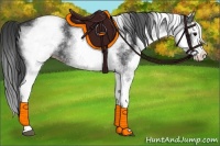 Horse Color:White Spotted Black Splash