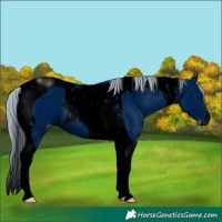 Horse Color:ERROR: UNKNOWN ANOMALY